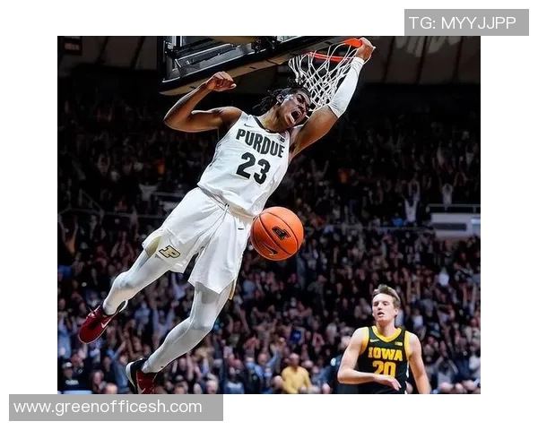 杰登艾维:新生代篮球明星的崛起与未来展望