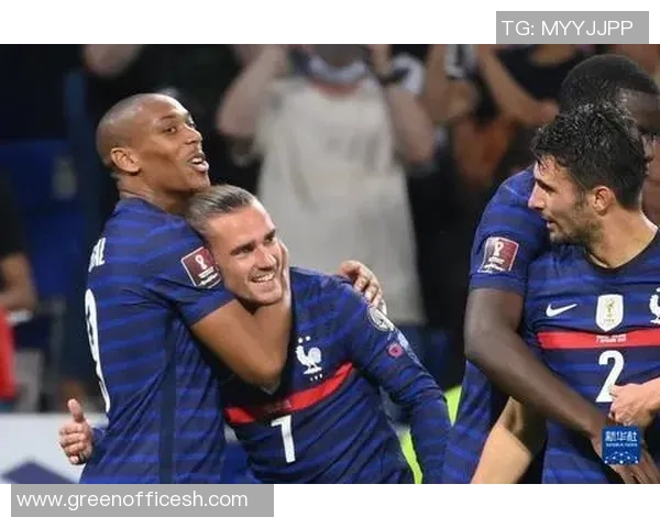 男篮世预赛精彩对决法国队迎战芬兰队全力争胜 男篮世预赛精彩对决法国队迎战芬兰队全力争胜